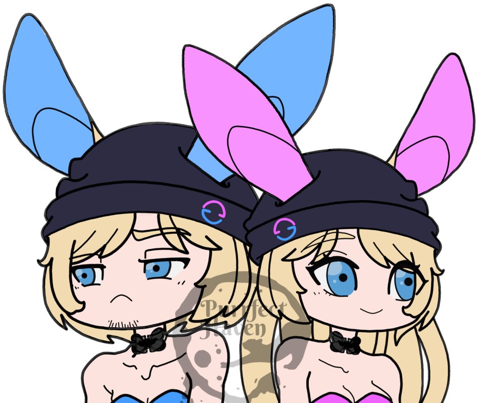 PurrfectHaven tweet media