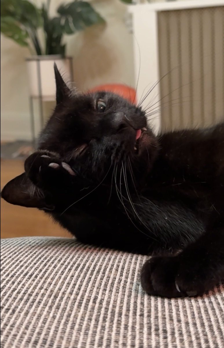 bee 🌱 tweet media