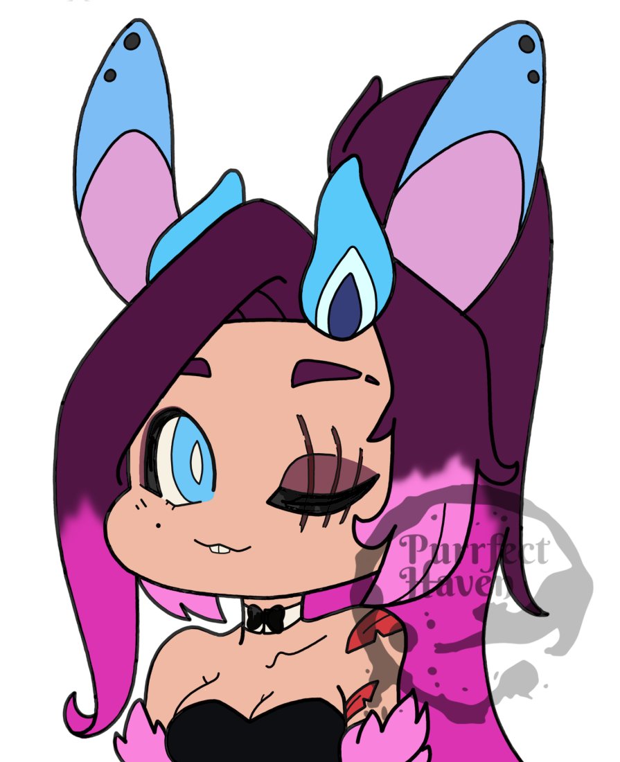 PurrfectHaven tweet media