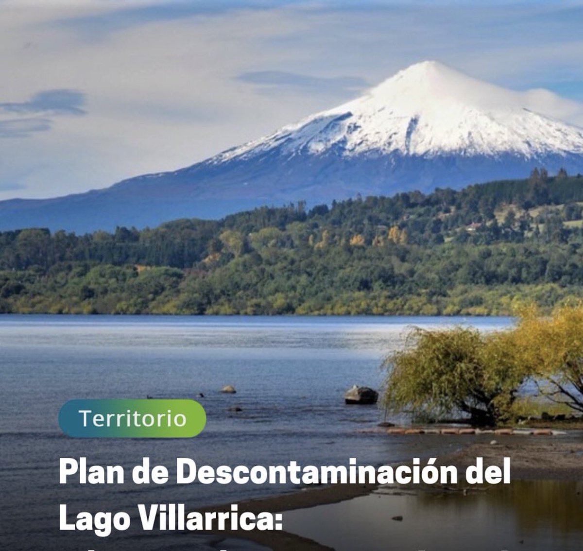 José Montalva tweet media