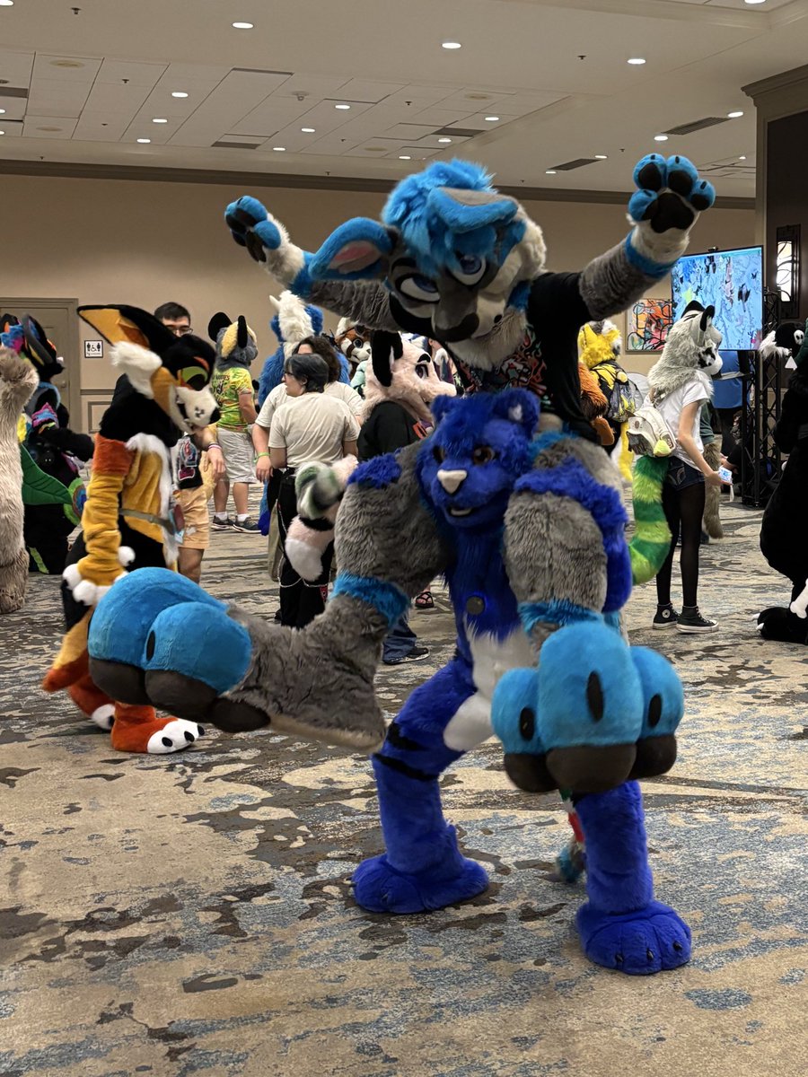 Zerooooooo tweet media