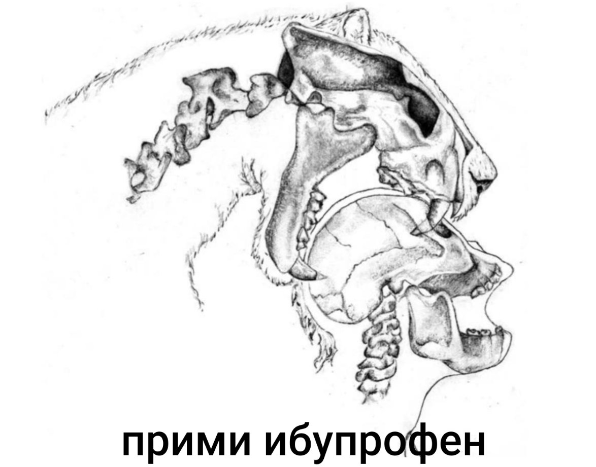 переводчик многопрофильный (@whiitfieldz) on Twitter photo 