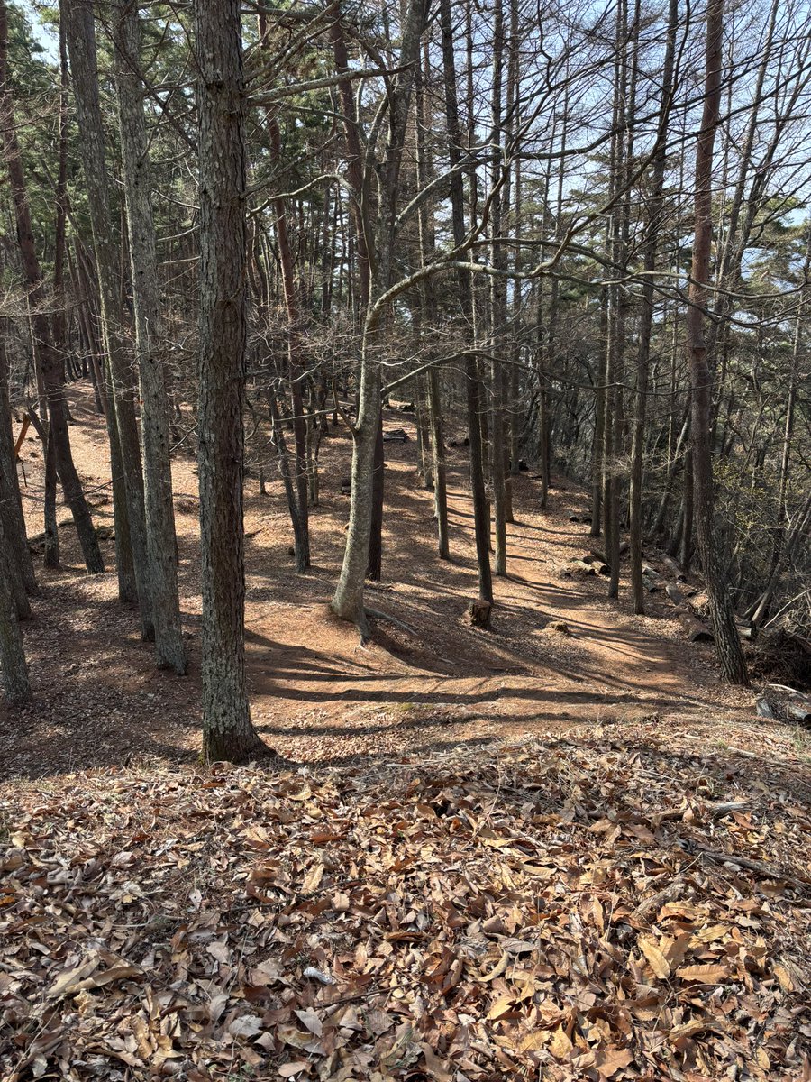 嶺上自摸（りんしゃんつも） tweet media