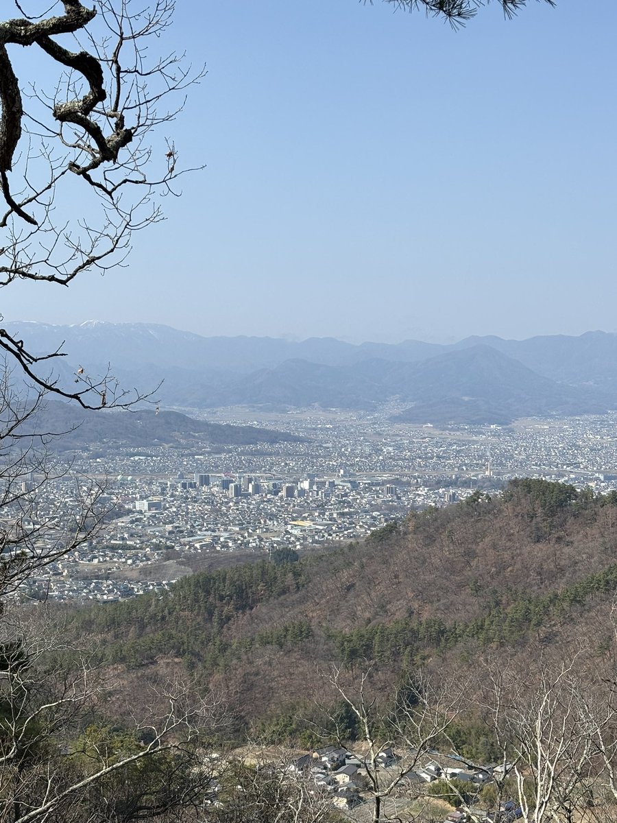 嶺上自摸（りんしゃんつも） tweet media