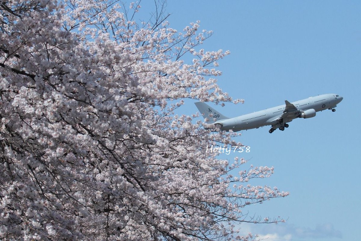 Hotty7581's tweet photo. こちらは2022で、ちょうどそのころ日豪空中給油適合性確認試験。
#小牧基地 #RAAF #A330MRTT #A39004 https://t.co/iNM9LyJOtI