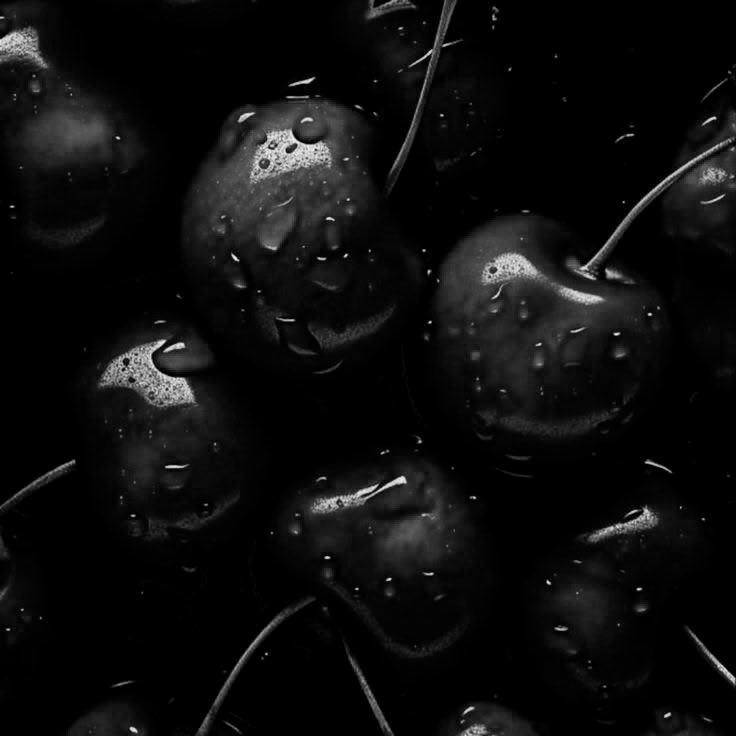 𝗬𝗼𝗸𝗮𝗶. tweet media