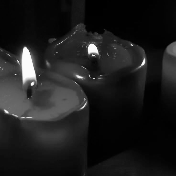 𝗬𝗼𝗸𝗮𝗶. tweet media