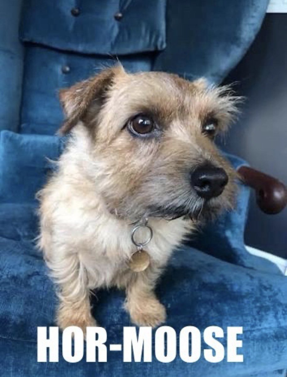 ian bremmer tweet media