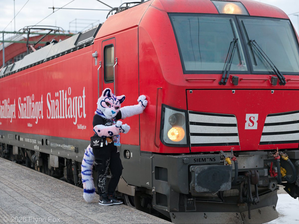 Shall we take the Snälltåget?

Amazing picture by <a href="/ArcticFoxHiro/">🐾 Flynn 🦊 🔜 LVFC 🐾</a>
