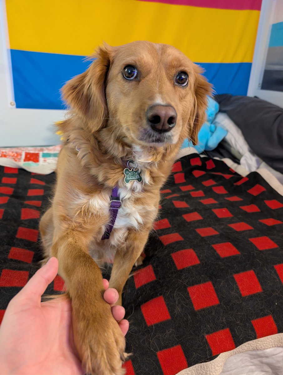 Kaladin :3 tweet media