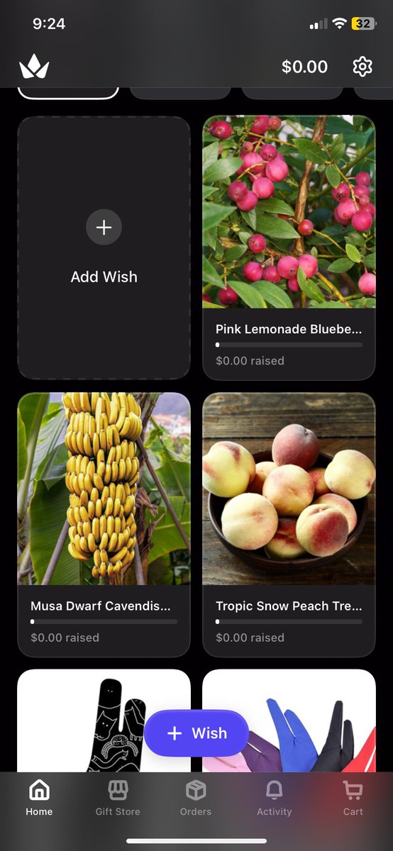 KitsuuRin's tweet photo. Since throne won’t let me add a switch 2 to my wishlist I added some fruit plants instead 

I don’t expect any random people to contribute obviously but it gives people a way to tip me whenever I actually have time to open up commissions again https://t.co/InEPQsnKV2