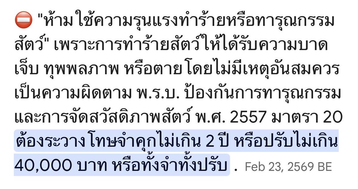 nipad3's tweet photo. @Mr_Whathapened @supotayan จังหวะนี้ #โหนกระะแส กับ #เรื่องเล่าเช้านี้ ต้องเข้า อย่าปล่อยให้คนชั่วลอยนวล ต้องให้มันได้รับโทษ คนทำร้ายหมายังมีโทษ แต่นี่ทำร้ายคนเป็นเด็กตัวเล็กๆ ถ้าไม่โดนอะไร ก็ไม่ต้องมีกฏหมายแล้วประเทศนี้ https://t.co/63xwWaobMH