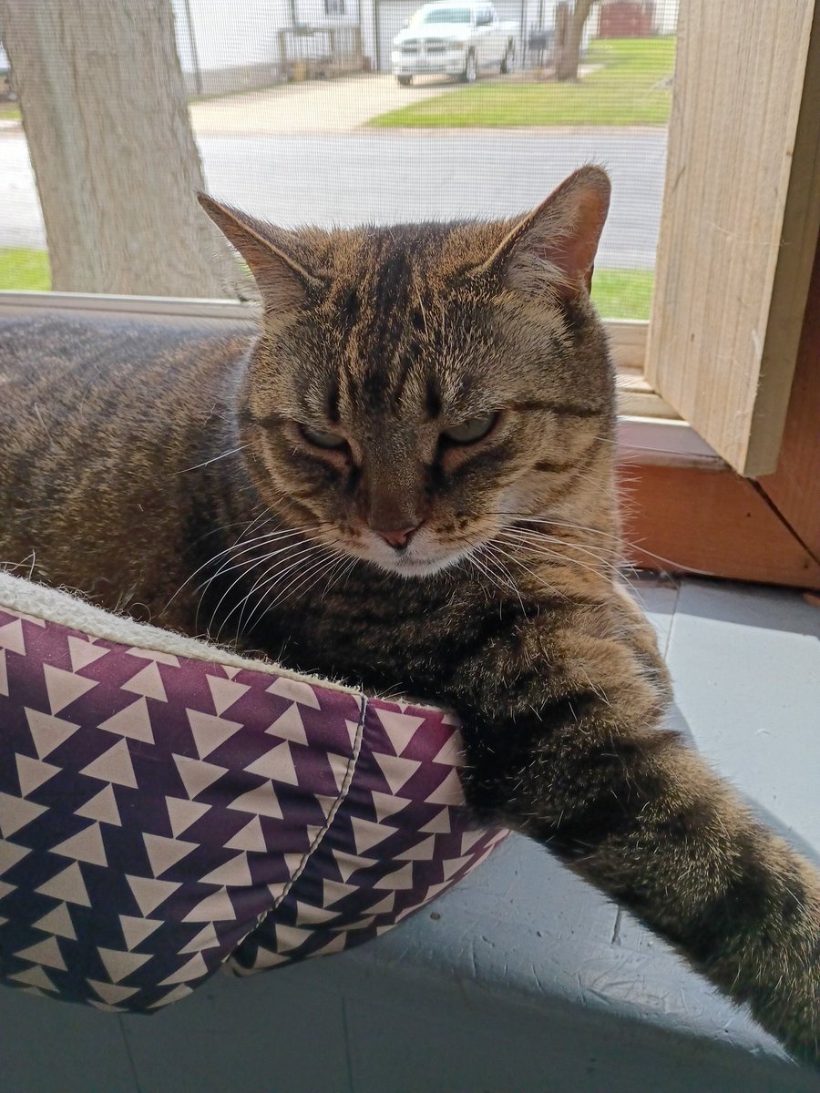 Tim Erickson tweet media