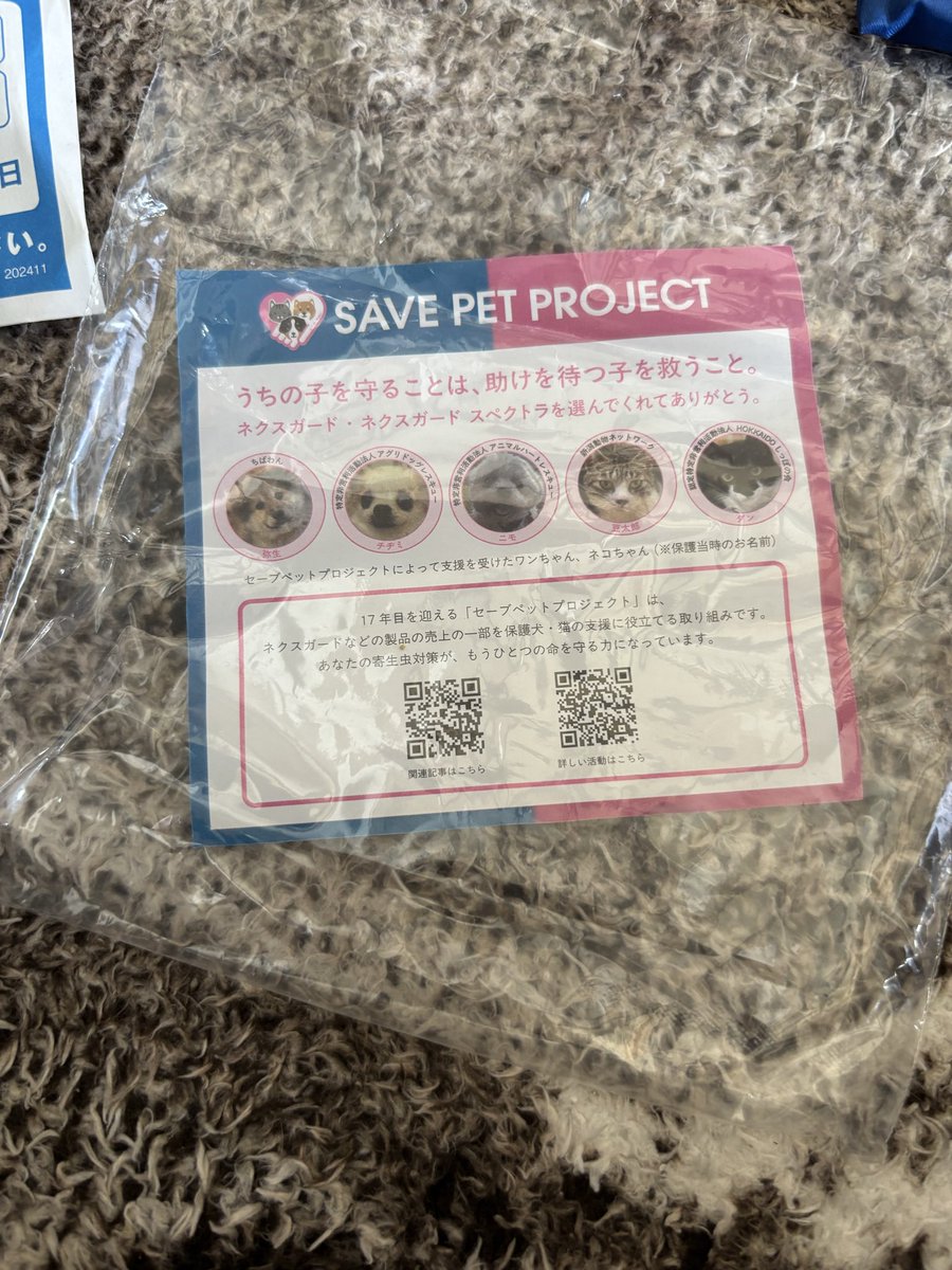 茶々丸🐶😁✨ tweet media