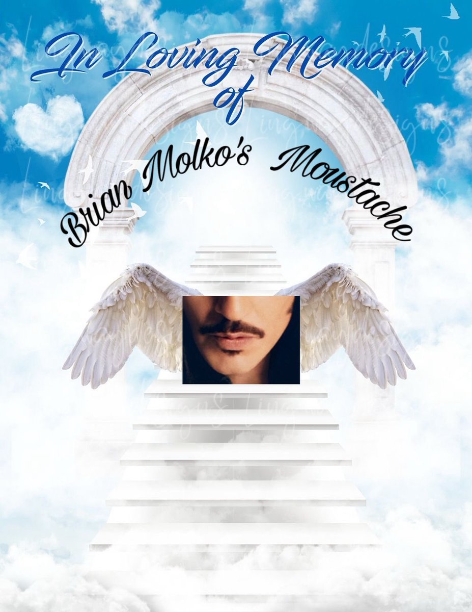 ₍ᐢ. .ᐢ₎ tweet media