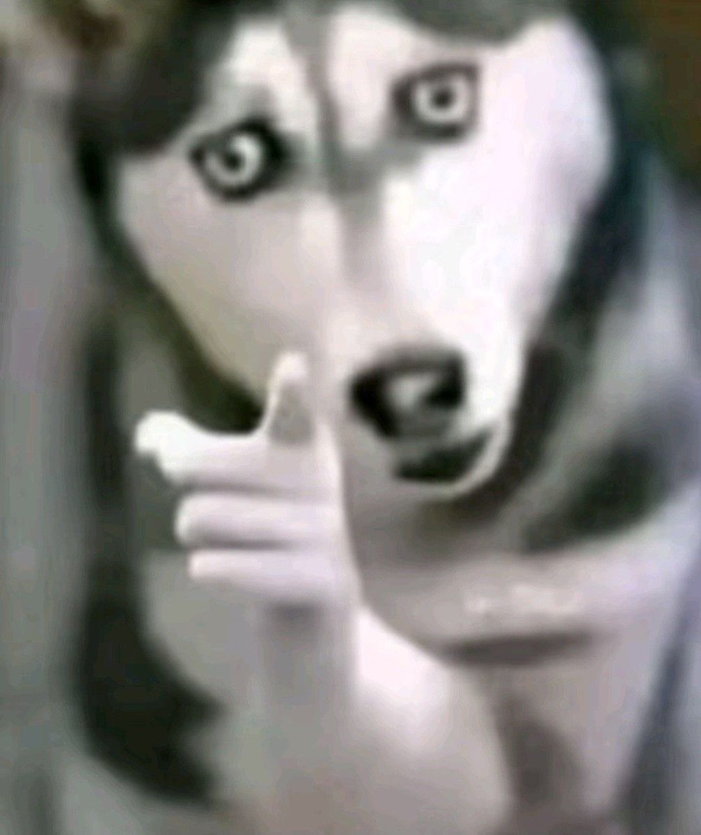 Dio 👑 tweet media