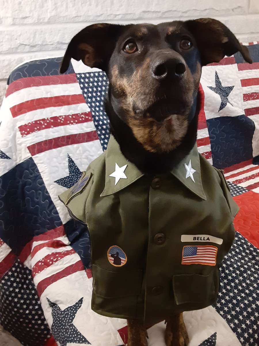 Word Monger tweet media