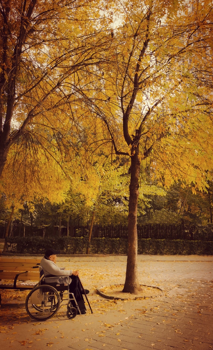 Funk Provida tweet media