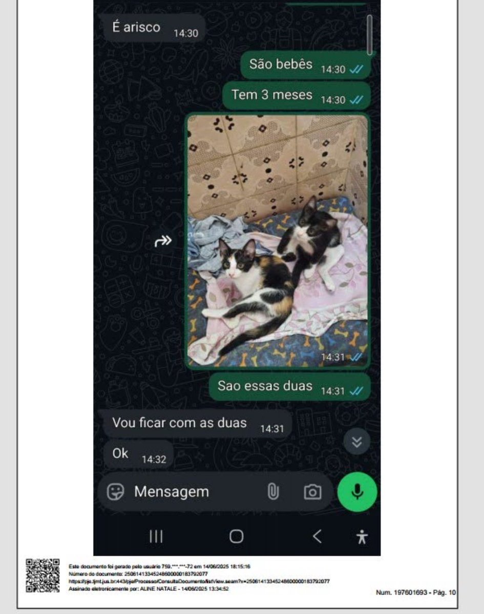 caroline tweet media