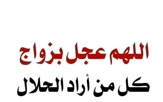 ﴿ القُـرآن الكَـرِيم ﴾ tweet media