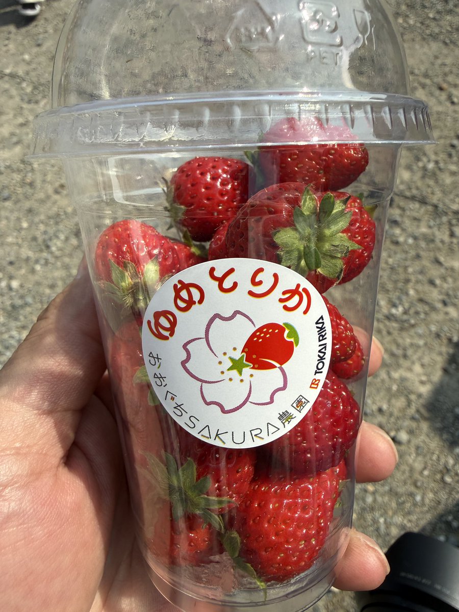 shagariko's tweet photo. 100円😋

美味しい😋 https://t.co/MGgUDayvdB