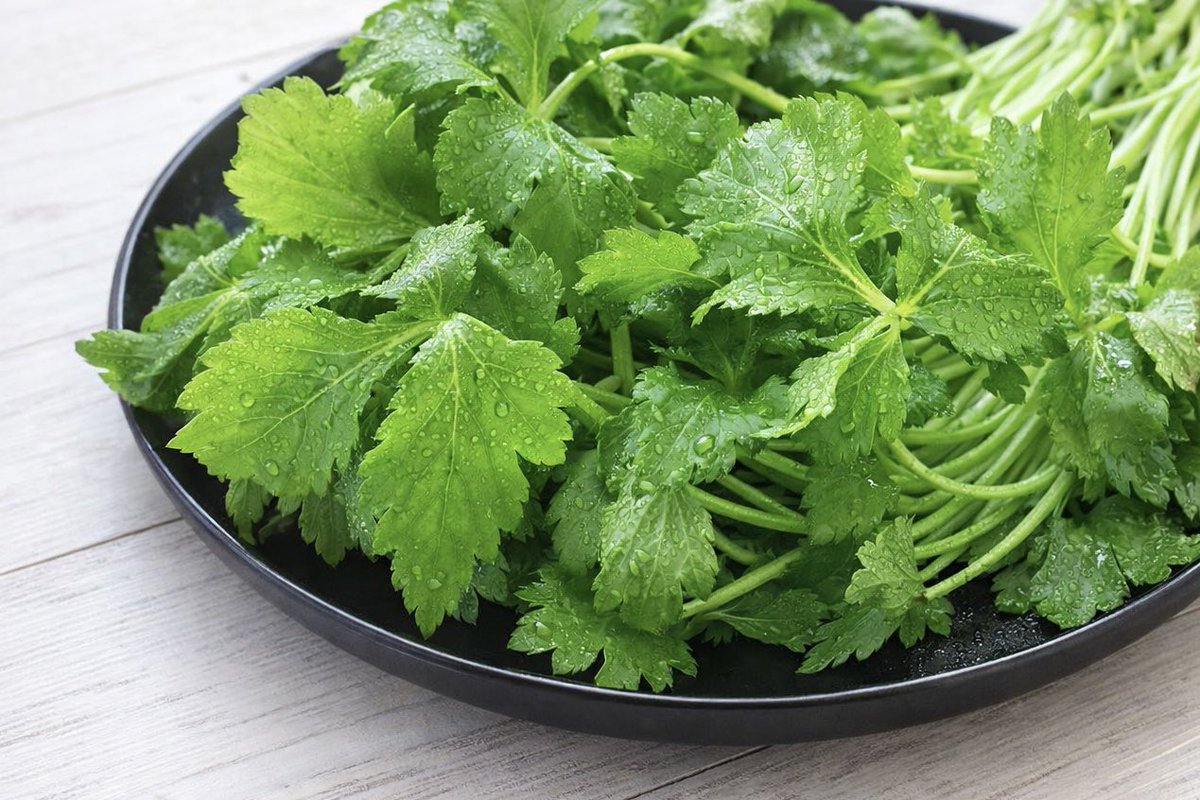 ゆり｜在宅で夢を叶える主婦ライター tweet media