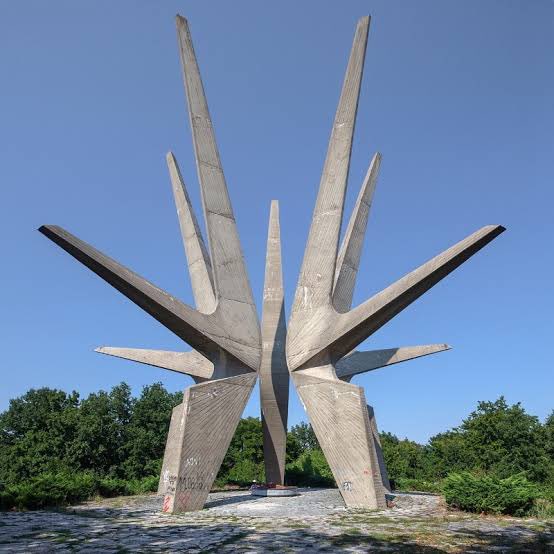 Shu-Stella🔞 tweet media