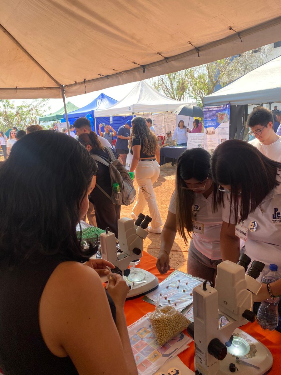 sonplayas's tweet photo. Este proyecto de periodismo ambiental independiente cumplirá 7 años el 31 de marzo. Para celebrarlo, ayer realizamos la Expo Ambiental Son Playas 2026 en el @ITMAZOficial ¡Gracias! https://t.co/vpA13XAJyN