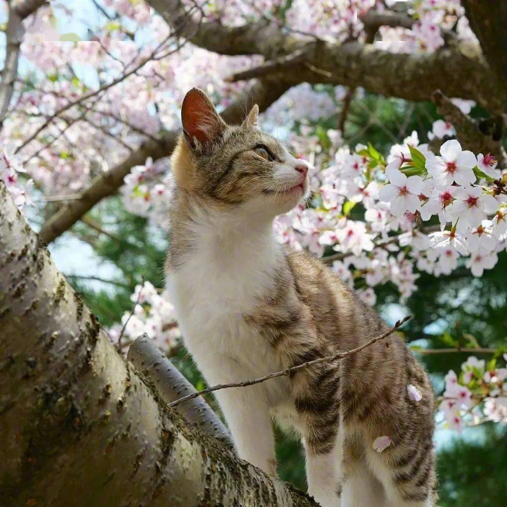 Kelly Chapman tweet media