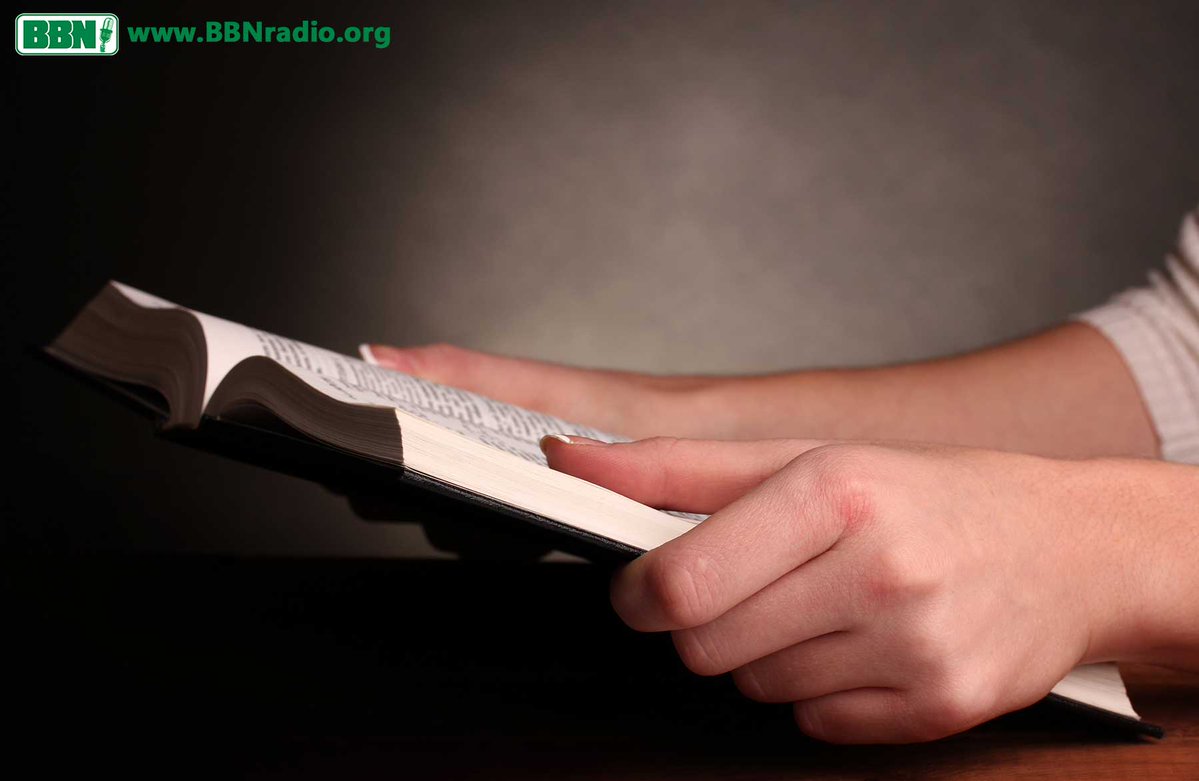 BBNEspañol tweet media