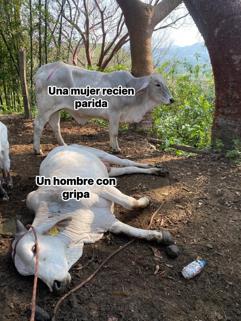 En Júpiter tweet media