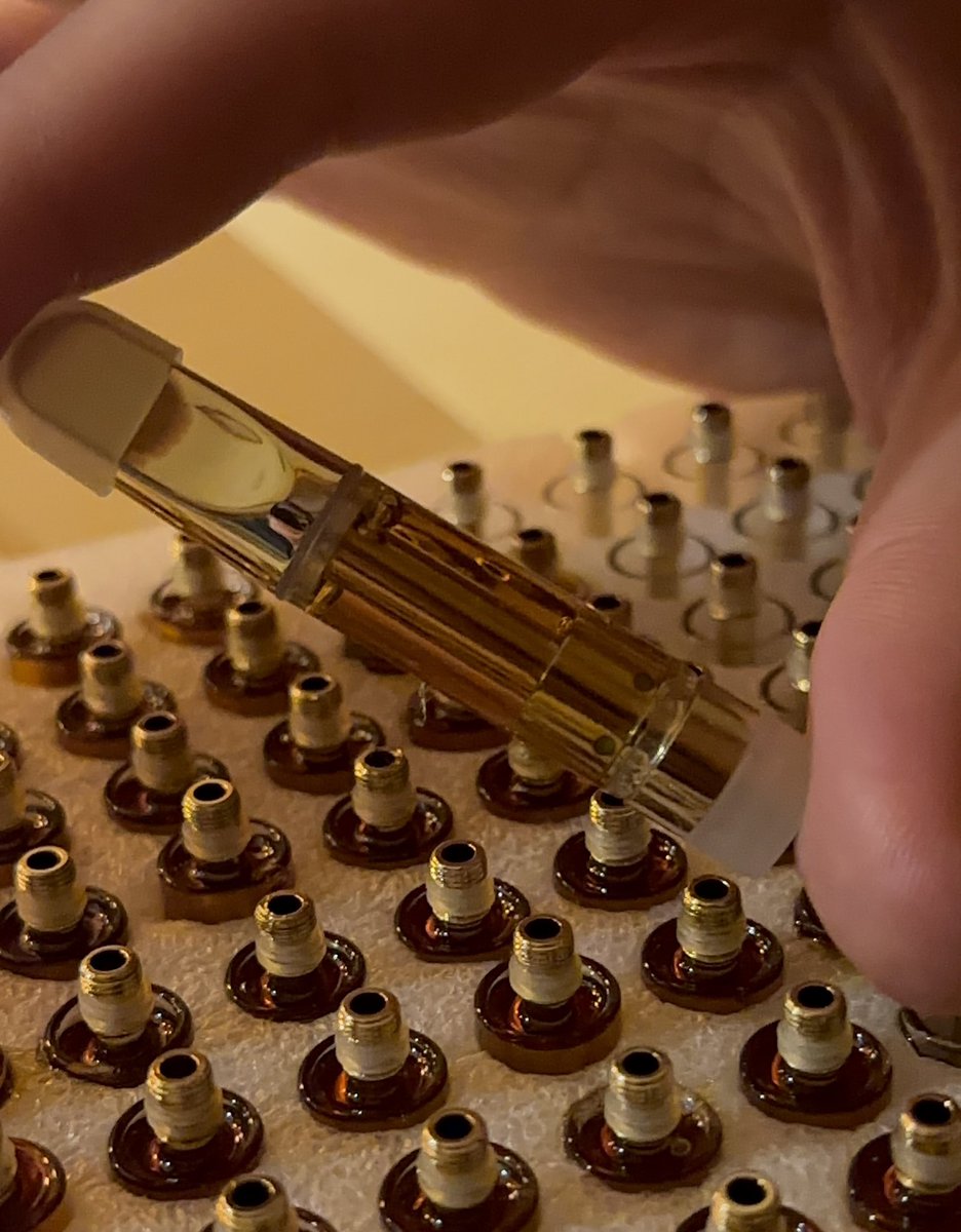 Japanese Chill tweet media