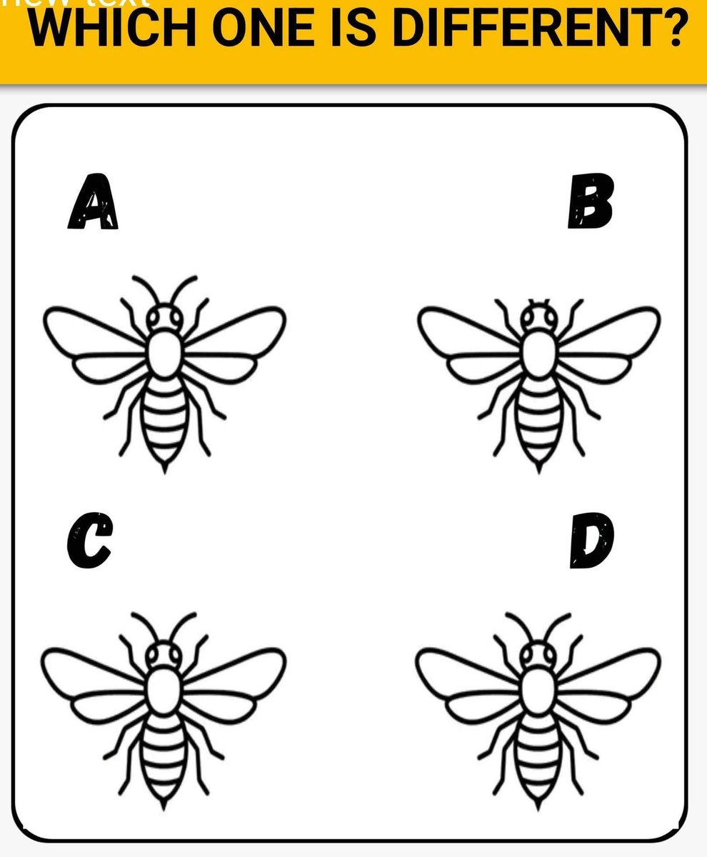 Mindful Journey 🌸🙌🏻 tweet media