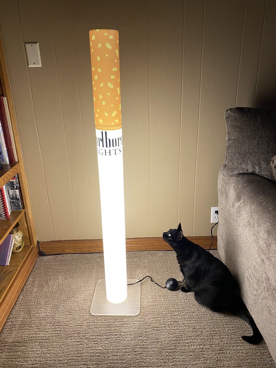 🦇☢︎ tweet media