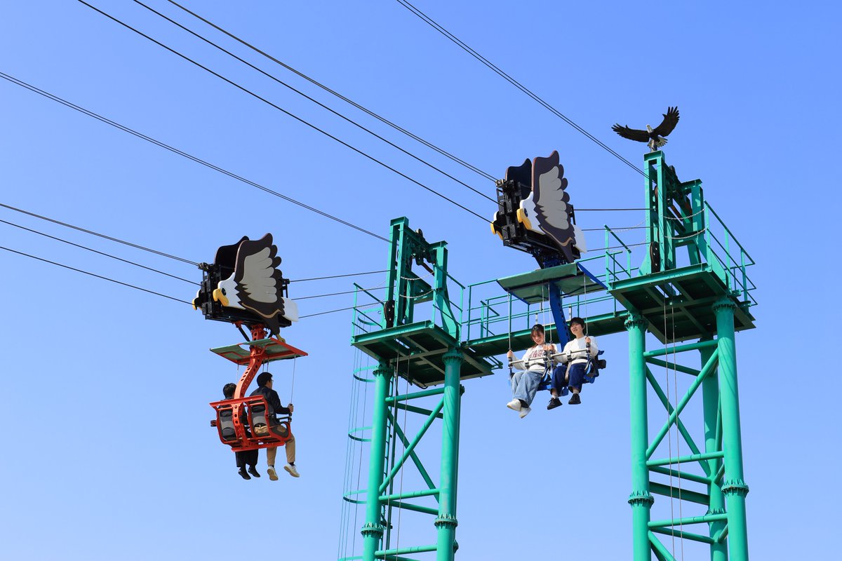 生駒山上遊園地【公式】 tweet media