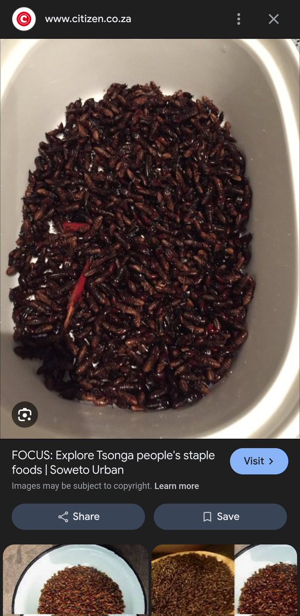 Who_is_Cxrdio tweet media