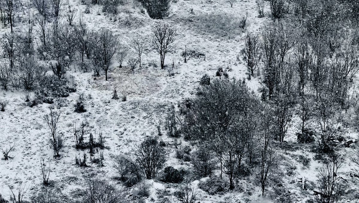 𝔂𝔂 tweet media