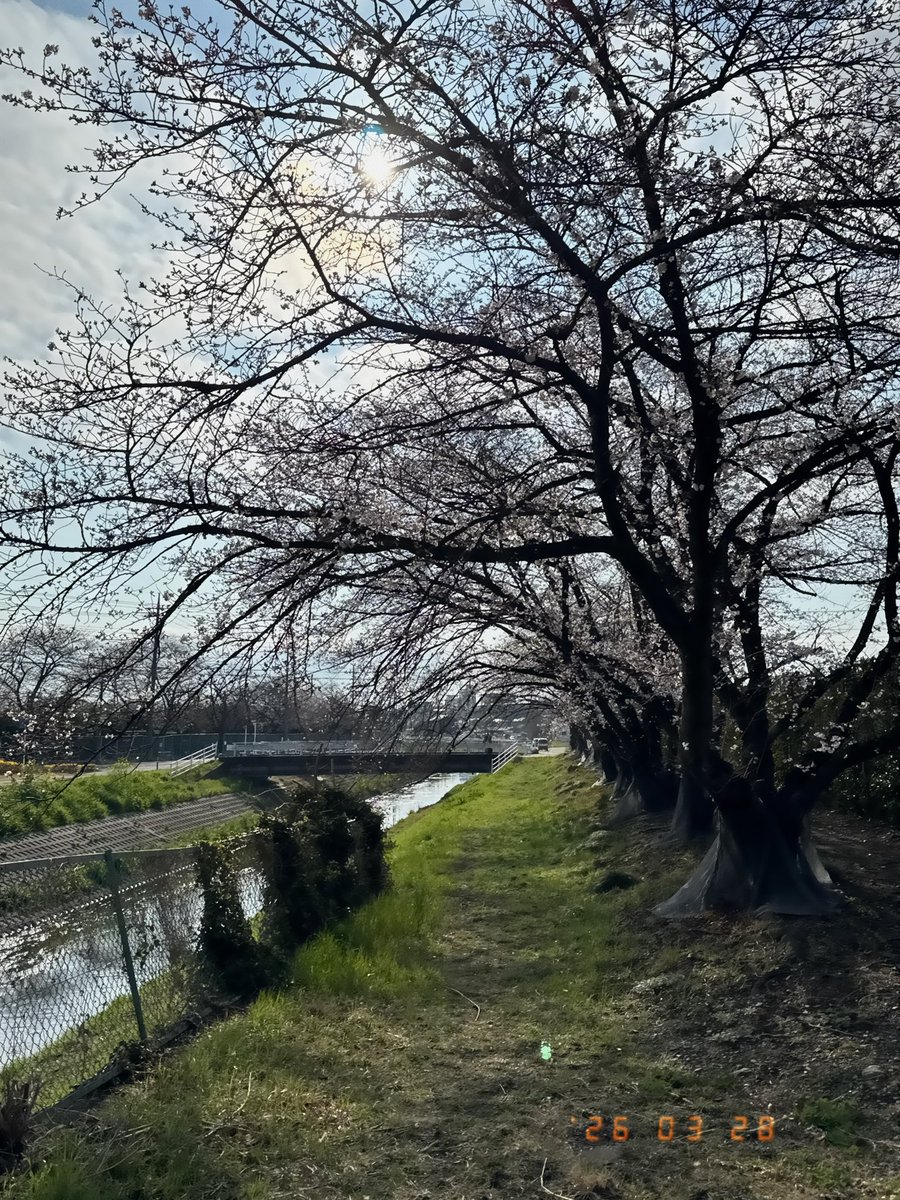 _yan90's tweet photo. 本庄のクラフトフェアにて https://t.co/50s0sIUiot