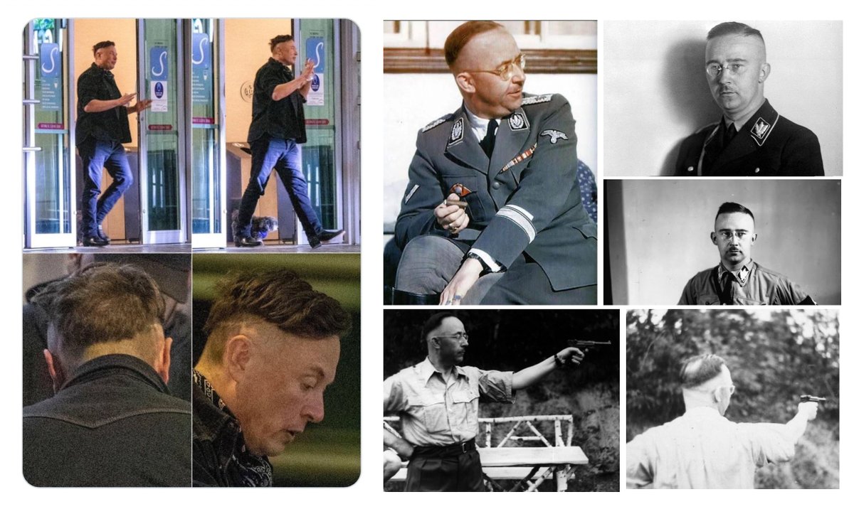 💛💙 🌊 Willow🌊💙💛 tweet media