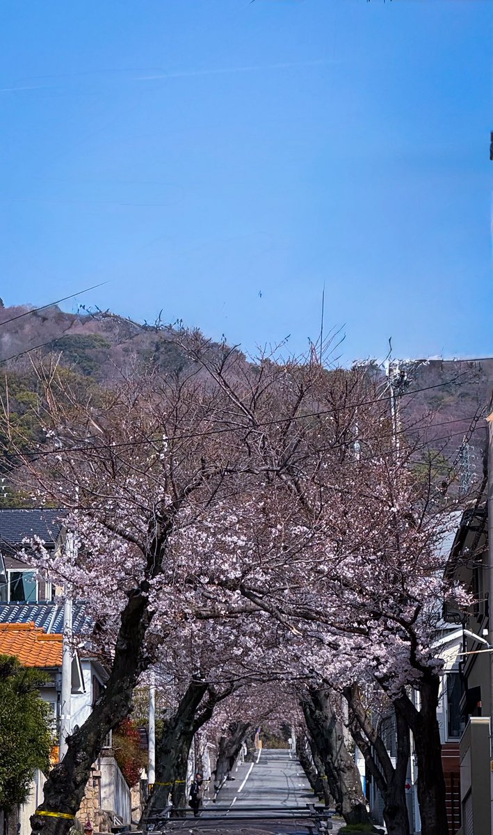 cafecampagne tweet media