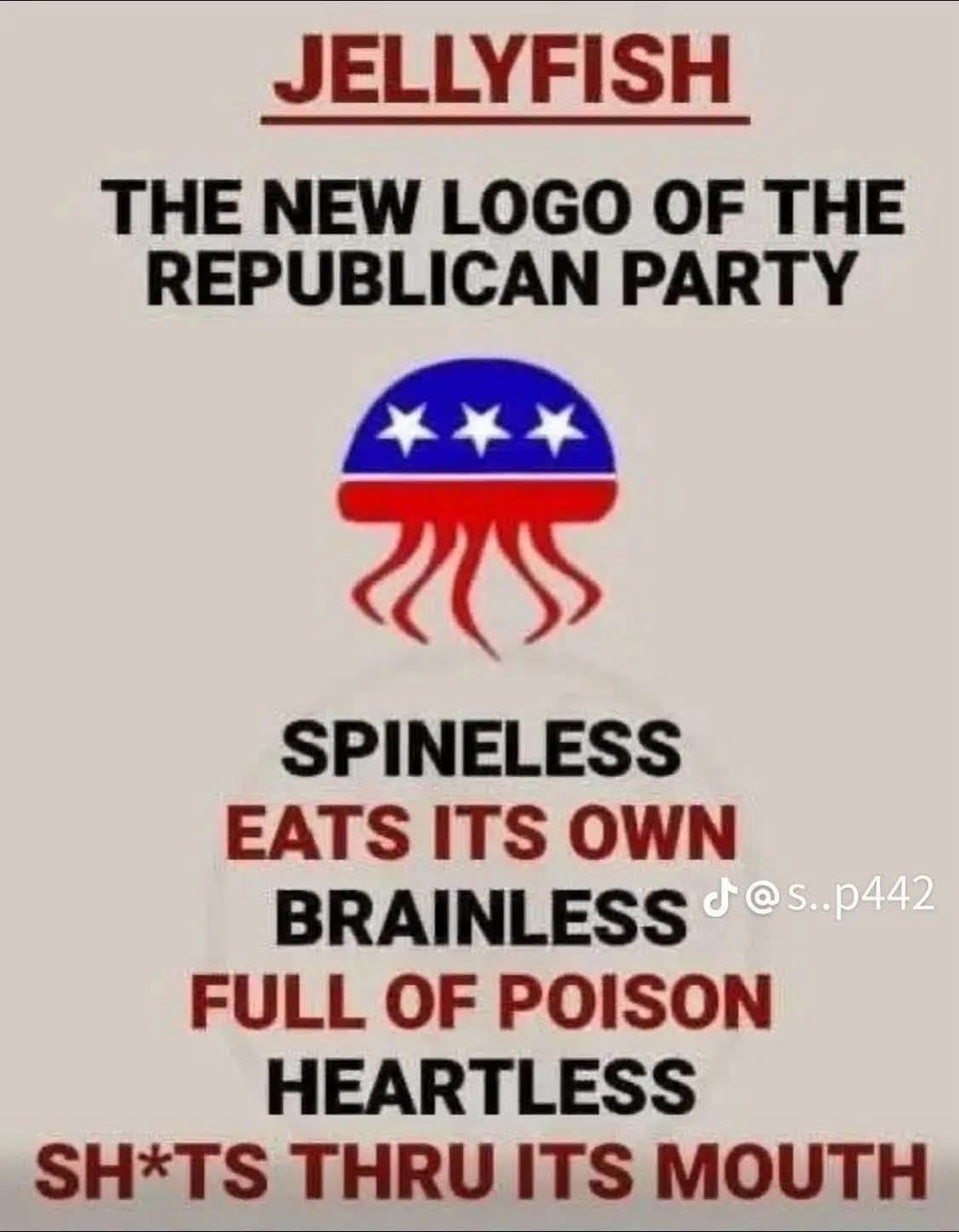 Paul Dupuis ☮️🇺🇦🟦🇺🇸 tweet media