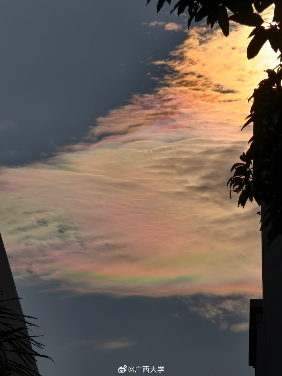 isik algıs tweet media