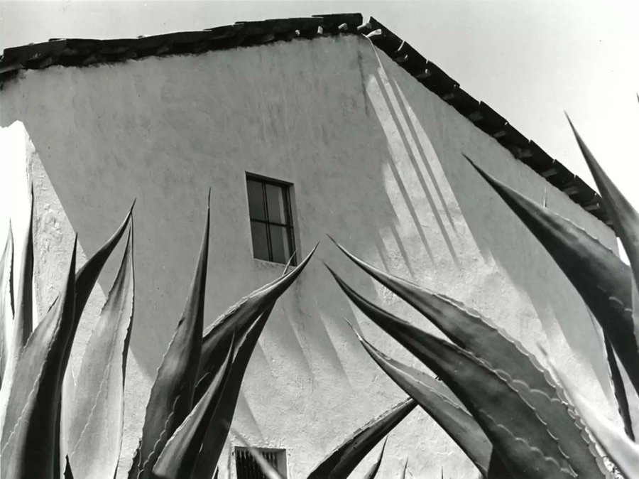 𝑷𝒂𝒕𝒓𝒊𝒄𝒌 tweet media