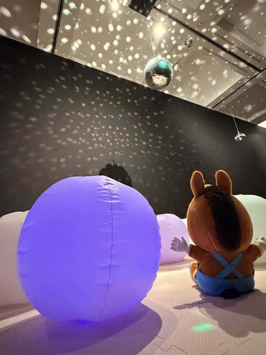 STVイベント tweet media