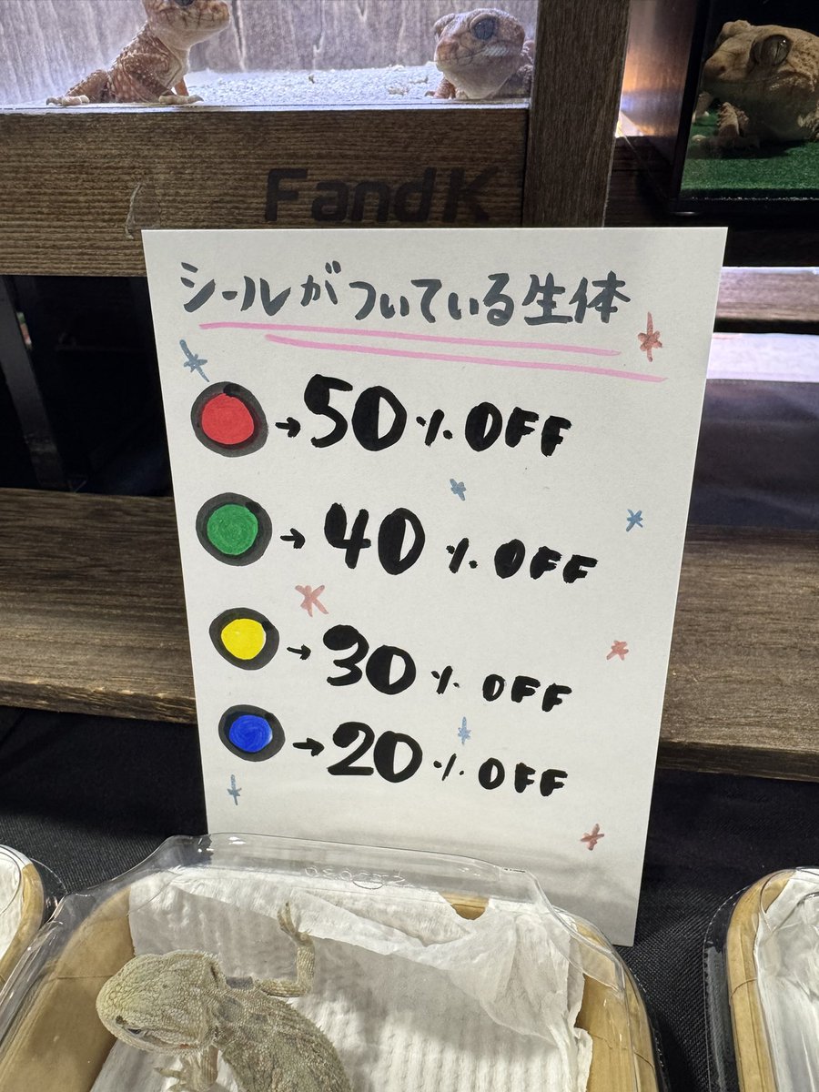 GUNGNIR ANIMALS tweet media