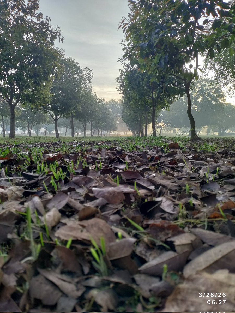 Humanity Inn tweet media