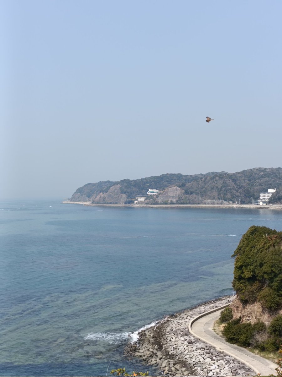 丸刈りジュリエット tweet media