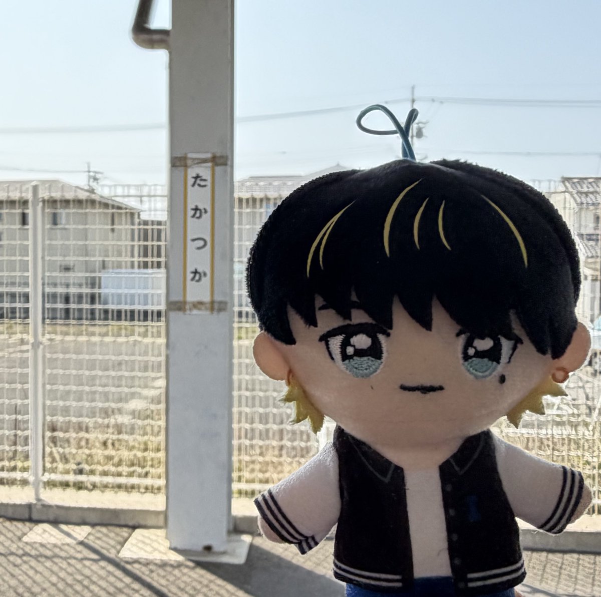 ぷれこ🎸MINI🐹🐳🏰🩵 tweet media