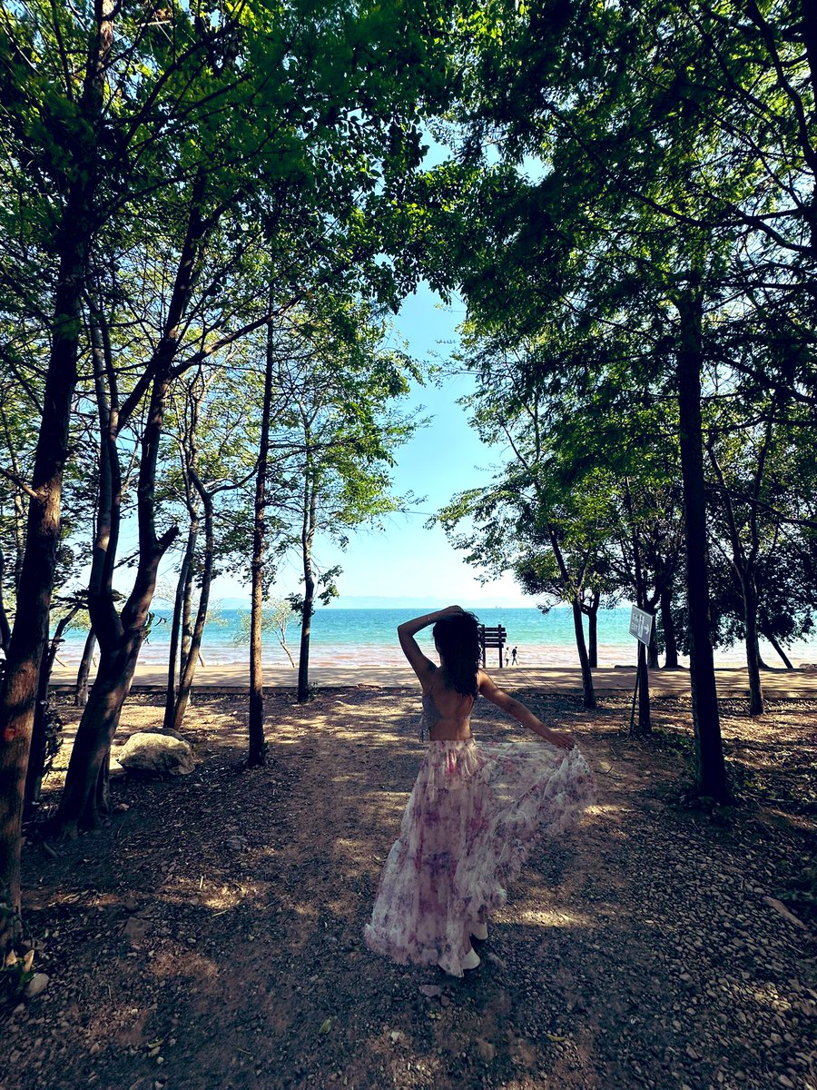 香菜不香 tweet media