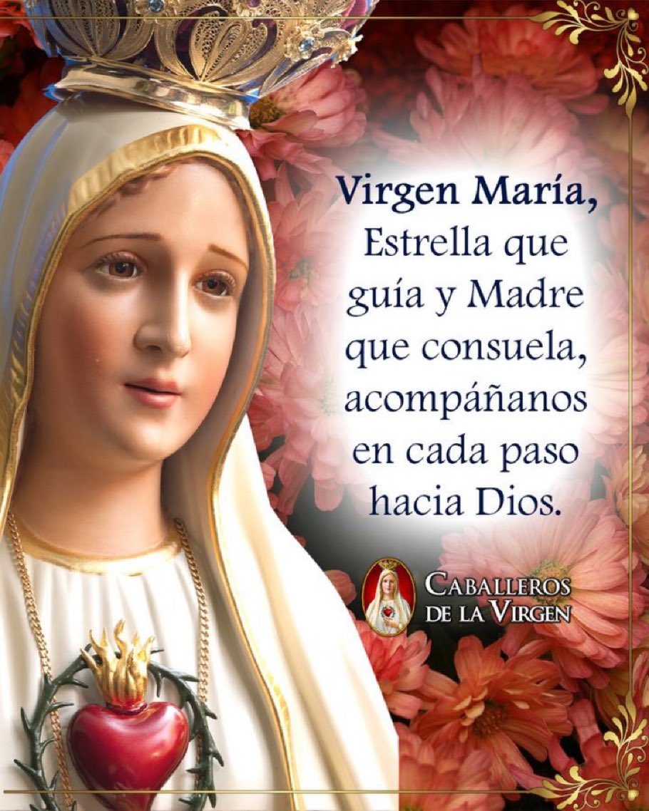 Samir a. Naim tweet media